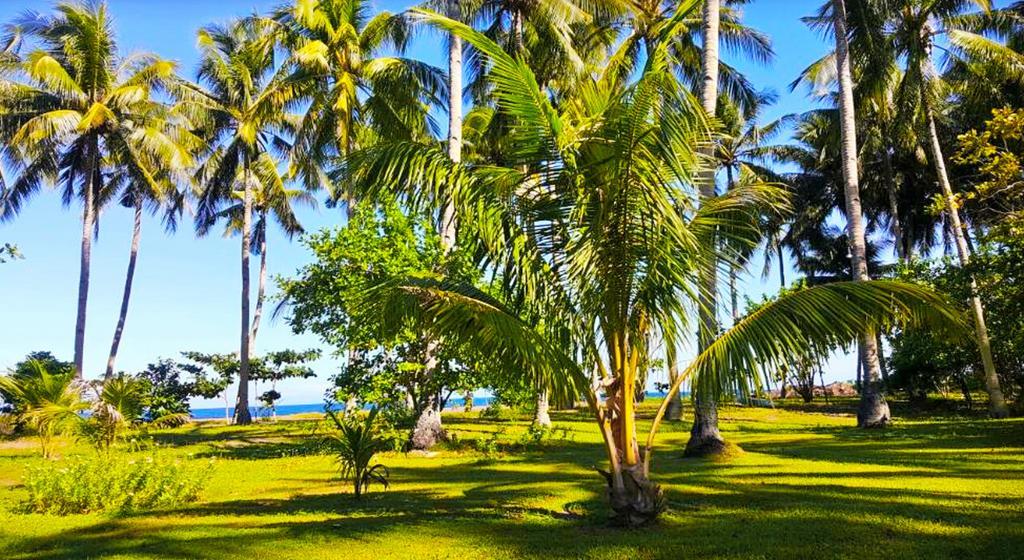 Somewhere Else Boutique Resort Mambajao Exterior photo